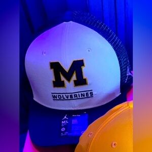 🐺 W: University of Michigan Wolverines Jordan Brand On-Field Baseball Hat 🐺